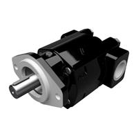Cast Iron Motors - PGM350 Series